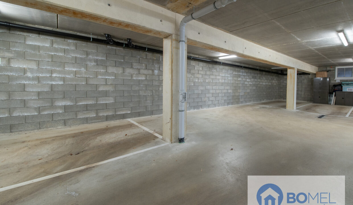 Ludovic Roodt Logo-29