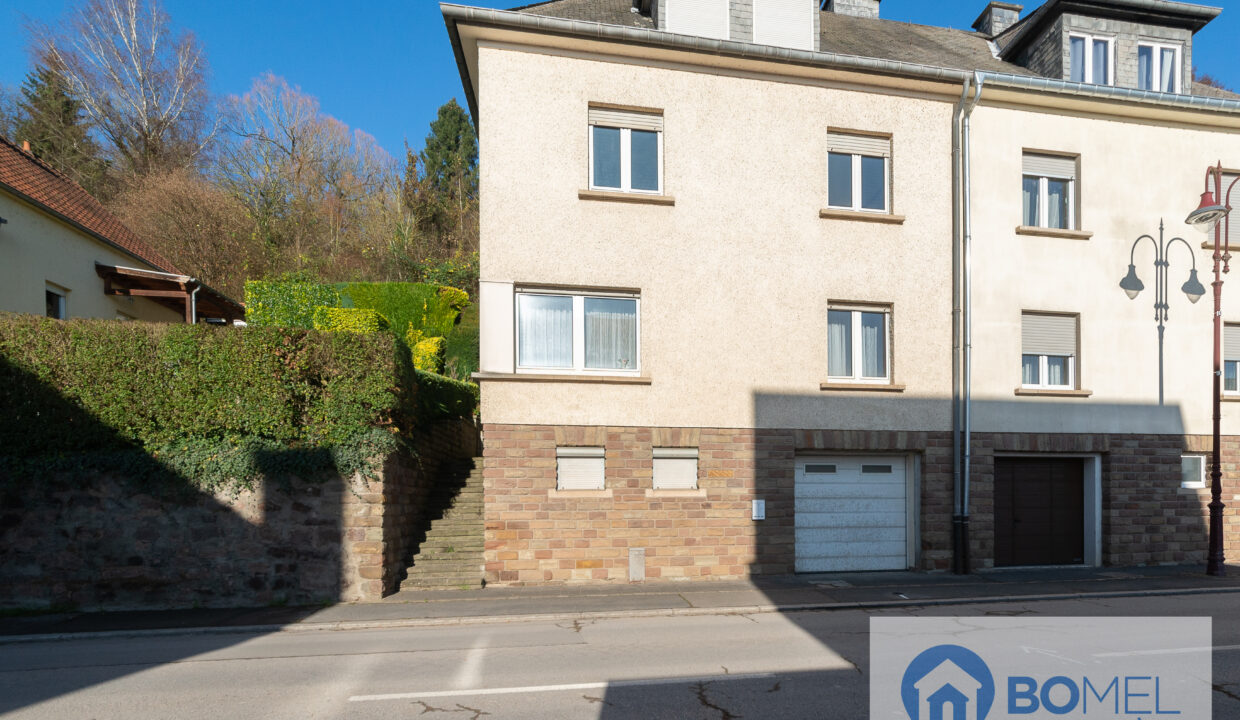 Maison Ludovic Diekirch logo-1 - Copie