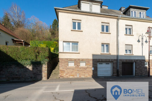 Maison Ludovic Diekirch logo-1 - Copie